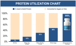 Advanced Amino Formula