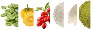 Bryo Appetite Control Coffee Ingredients