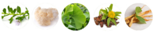 MemoShield ingredients