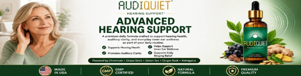 AudiQuiet badge